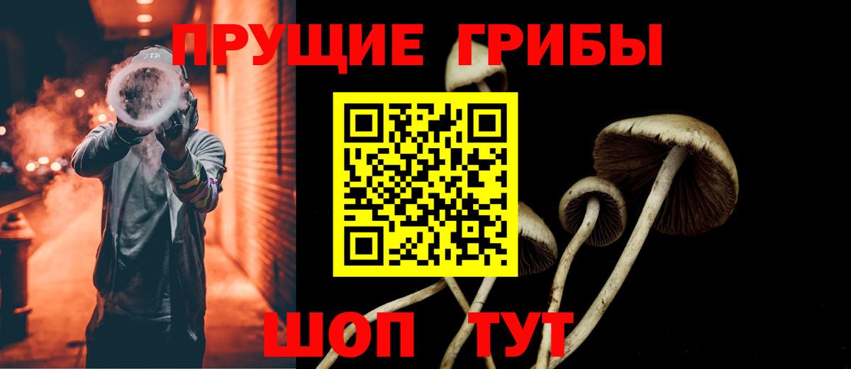 Галлюциногенные грибы Psilocybine cubensis  Вход с VPN  Галлюциногенные грибы ЛСД  где можно купить наркотик  Армавир 
